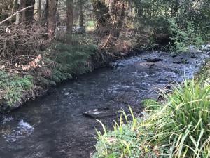 Foto sihtkohas Launceston asuva majutusasutuse Creekside Lodge Bathpool Launceston Cornwall galeriist +68 fotot