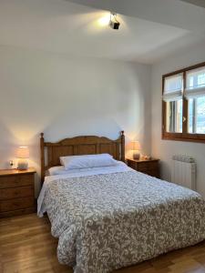 1 dormitorio con 1 cama grande y 2 mesitas de noche en Alojamiento FRESNO Al lado del reloj Ski amplio familiar, en Formigal