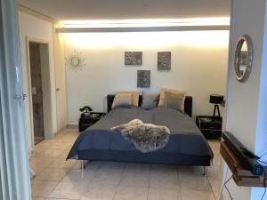 a bedroom with a large bed and a television at Condominio Andromeda Seeblick in Locarno +42 photos