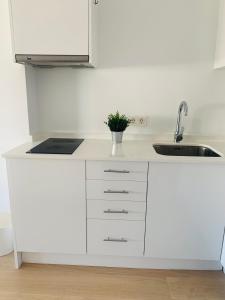 pisos con piscina barrio exclusivo-WizinkCenter, Madrid ...