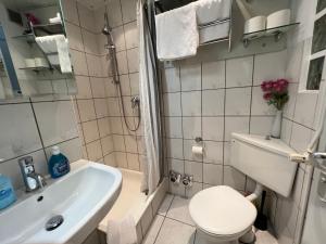 La petite salle de bains est pourvue de toilettes et d'un lavabo. dans l'établissement Strandnest Büsum, à Büsum