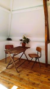 Una mesa y dos sillas en una habitación con una planta en Château Machiel en Machiel