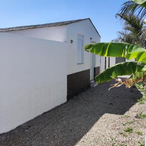 un edificio blanco con una palmera al lado en Villa Bali con jacuzzi climatizado y piscina climatizada con jacuzzi, en Chiclana de la Frontera