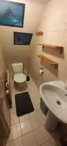 ein Badezimmer mit einem weißen WC und einem Waschbecken in der Unterkunft Room Aris, not for parties, not a hotel in Amsterdam