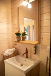 a bathroom with a sink and a mirror at Sielankownia in Radków