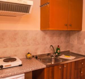 Kuchyňa alebo kuchynka v ubytovaní Summer Garden Αpartments & Studios