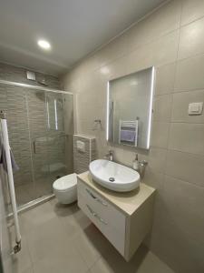 ein Badezimmer mit Waschbecken, Toilette und Spiegel in der Unterkunft Apartments Galic in Šibenik