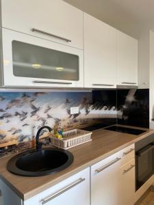 Küche/Küchenzeile in der Unterkunft Apartments Galic