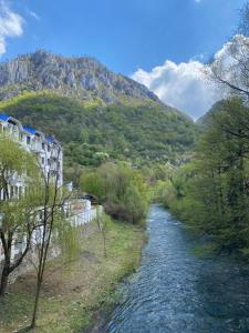a river next to a building and a mountain at Mara apartment in Băile Herculane