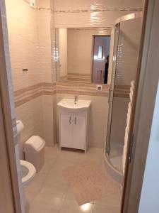 a bathroom with a sink and a shower and a toilet at Willa Halusia in Zakopane +40 photos