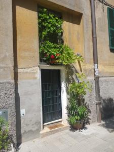 een raam met planten aan de zijkant van een gebouw bij Ave Cesare in Rome