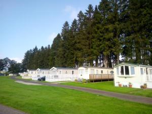 a row of mobile homes parked in a park at Callander Woods Holiday Park in Callander