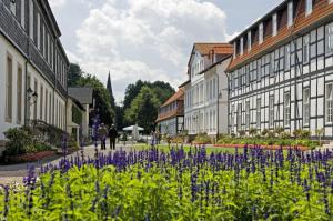 a city street with buildings and purple flowers at Ferienwohnung und Gästezimmer Iburgblick in Bad Driburg