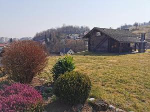 ein Haus auf einem Hügel mit einem Garten mit Büschen in der Unterkunft Cottage Barbara in Škofja Loka