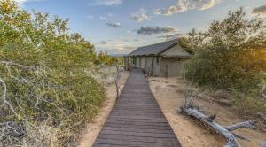 a wooden boardwalk leading to a building in the desert at Imagine Africa Luxury Tented Camp in Balule Game Reserve