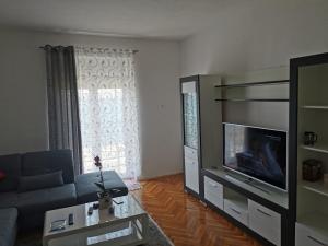 a living room with a couch and a television at Apartments Lucic in Senj