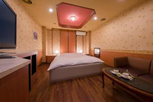 a bedroom with a bed and a tv and a couch at Hotel ニャンだふる in Himeji