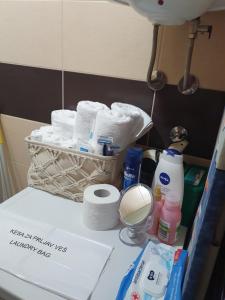 um balcão de casa de banho com uma cesta de papel higiénico e um espelho em Apartman,, Nina ,, em Jagodina