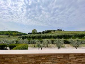 Gallery image of Agriturismo Fontanelle in Cavaion Veronese