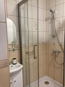 W łazience znajduje się prysznic i umywalka. w obiekcie Baltic Sea Beach Apartment w mieście Lipawa