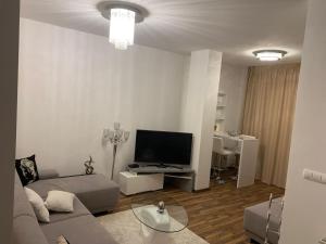 a living room with a couch and a flat screen tv at Oliver apartmán 6 in Vysoke Tatry - Strbske Pleso