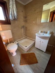 a bathroom with a toilet and a tub and a sink at Riverside Woodhouses in Praid