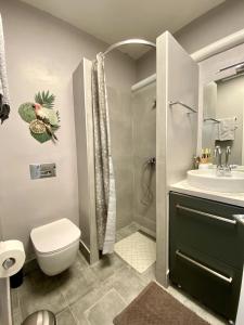 a bathroom with a toilet and a sink and a shower at Amazing Garden House in Athens