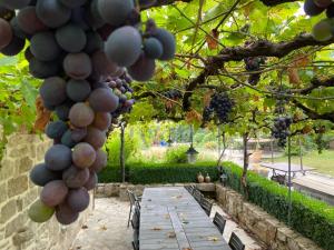 B&B Maison des Etoiles Chambre d'hôtes Adult Only外面的花园
