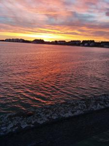 Naturlandskabet i nærheden af lejligheden