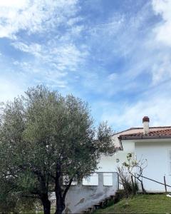 una casa bianca con un albero davanti di Villa Carmela a Palinuro