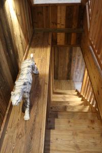 Zdjęcie z galerii obiektu Luxury Chalet Morzine with stunning mountain views w mieście Saint-Jean-dʼAulps