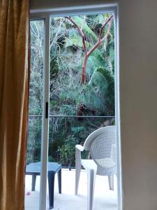 Фотография из галереи Mondavi в городе Пуэрто-Вальярта