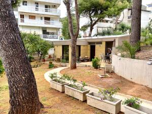 um pátio com árvores e vasos de plantas e um edifício em Amazing Garden House em Atenas