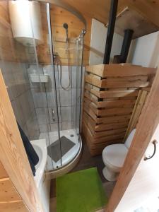 a small bathroom with a toilet and a shower at cichy zakątek in Zawoja