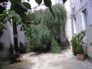 Ein Gebäude mit Pflanzen, die darauf wachsen. in der Unterkunft Superbe appartement avec parking gratuit sur place in Nancy