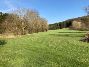 a large green field with trees in the background at Auern Apartement in Auern