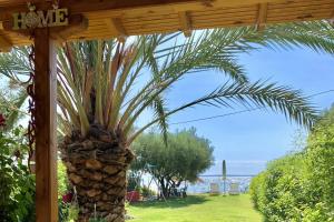a palm tree growing under a wooden pergola at One Step Ι Seaside Ι Quiet Ι Green in Yerakiní