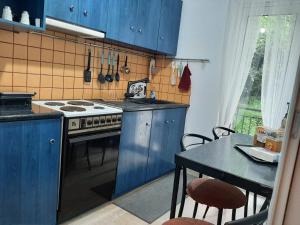 イオアニナにあるValentina's Homeのキッチン(青いキャビネット、テーブル、コンロ付)