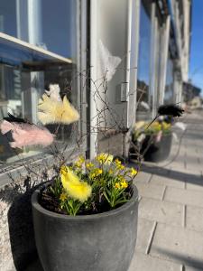 Fotografie z fotogalerie ubytování Hotel Falun v destinaci Falun