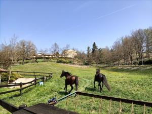 Foto dalla galleria di La Regibussa - Hotel Ristorante ad Asti
