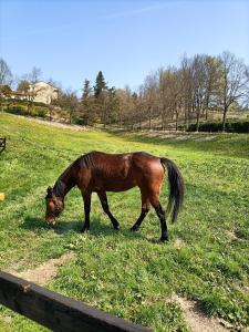 Foto dalla galleria di La Regibussa - Hotel Ristorante ad Asti