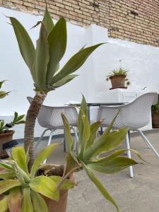 Fotografie z fotogalerie ubytování Carmela Apartment. v destinaci Almuñécar