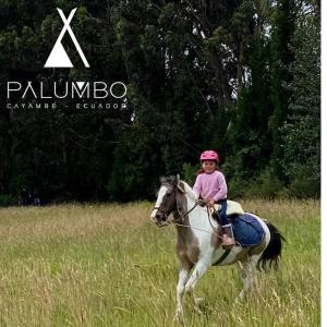 una ragazza che cavalca un cavallo in un campo di Palumbo Glamping & Villas a Cayambe