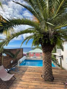 المسبح في Rose phoenix appartement terrasse et piscine vue mer أو بالجوار