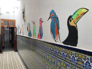 Mynd úr myndasafni af Lua Lua Hostel Las Palmas í Las Palmas de Gran Canaria