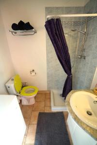 a bathroom with a shower and a toilet and a sink at Loft avec mezzanine in Montagnac