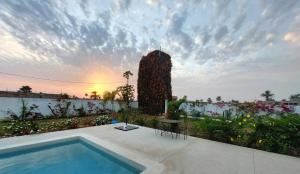 a swimming pool in a garden with a large plant at Khelkom.lodge in Cap Skirring