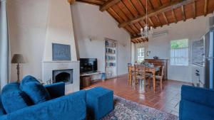 een woonkamer met een blauwe bank en een open haard bij Pesci in Gaiole in Chianti