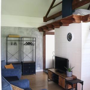 Μια τηλεόραση ή/και κέντρο ψυχαγωγίας στο Bed and Breakfast 'Wij en de Zande' - kamer met vide