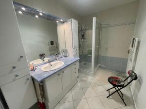 a bathroom with a sink and a shower at Les Myrtilles in Thann